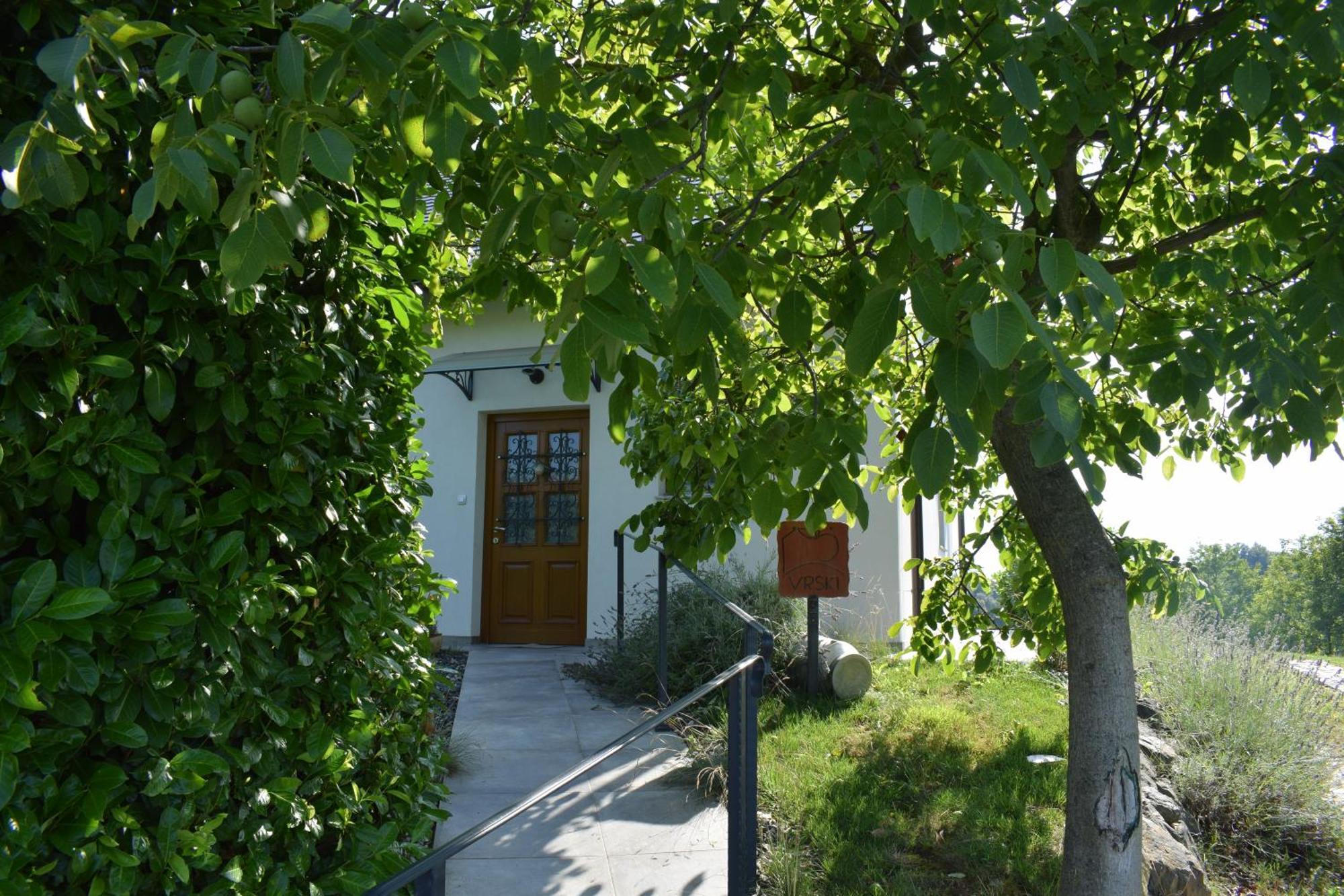 Apartment Domacija Vrski